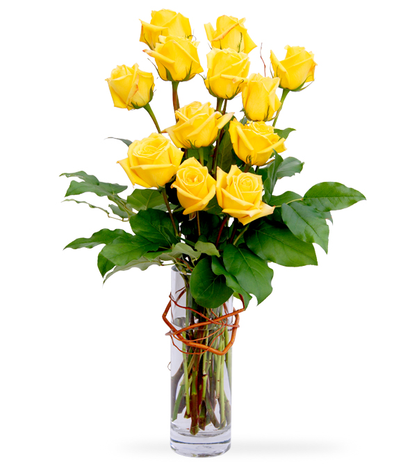 Rose Fantasy yellow roses by Sun Flower Gallery in Chicago